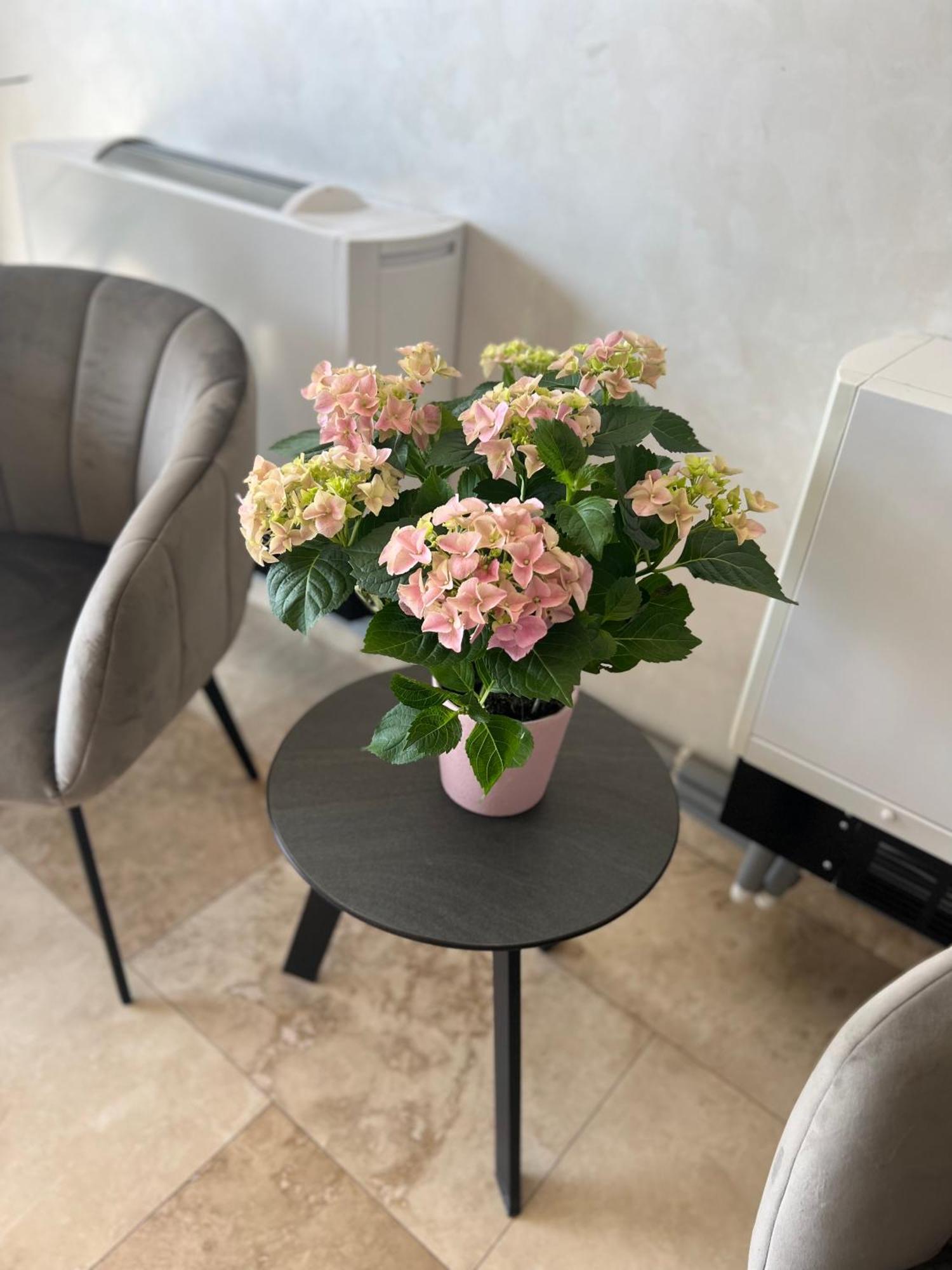 Hotel Del Ponte Тырговиште Экстерьер фото