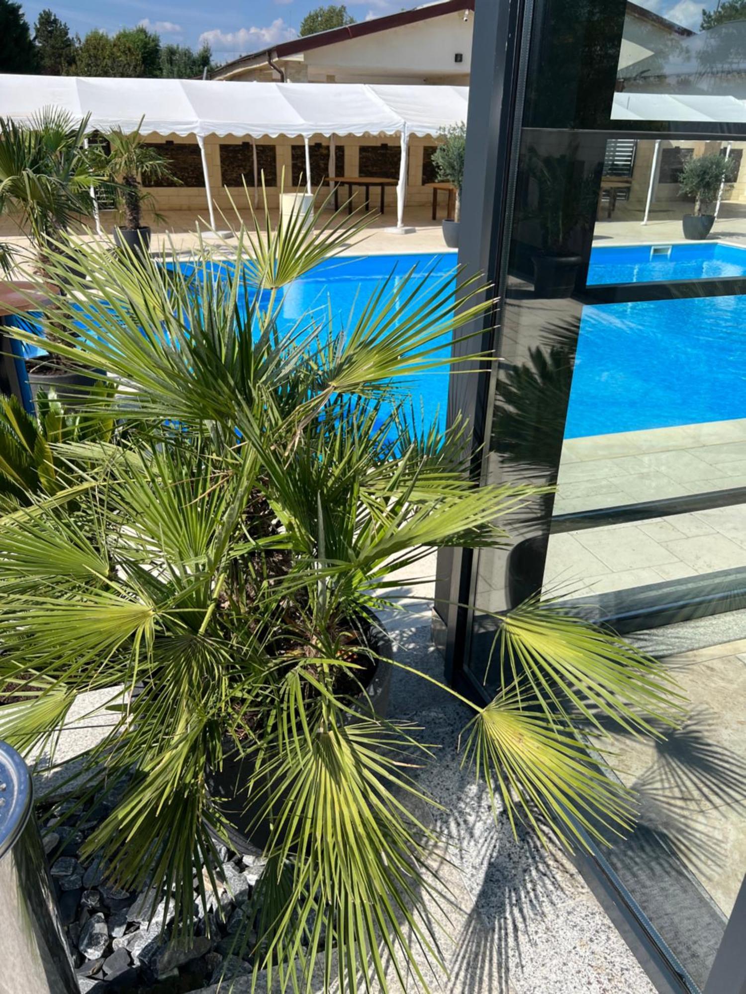 Hotel Del Ponte Тырговиште Экстерьер фото